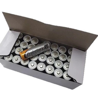 Pila Alcalina - AA - 1,2v - X1- Probattery PNAK-AA-SPB1