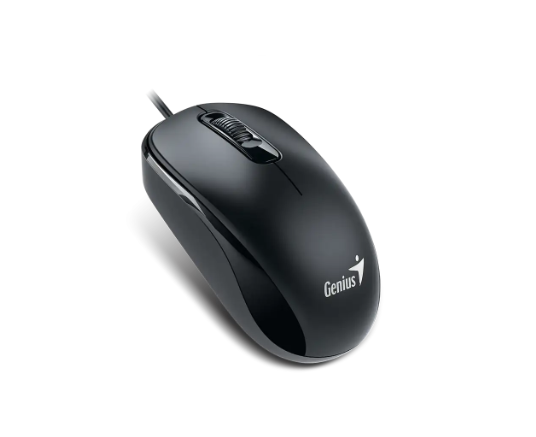 Mouse Genius DX-110 USB-C Black
