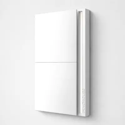 Tecla Smart Tokio de Dos Canales AC100-240V 10A MAX Con Capa
